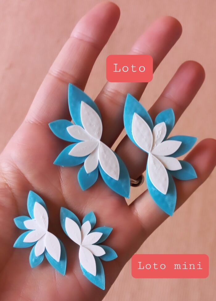Loto argentino - Imagen 3