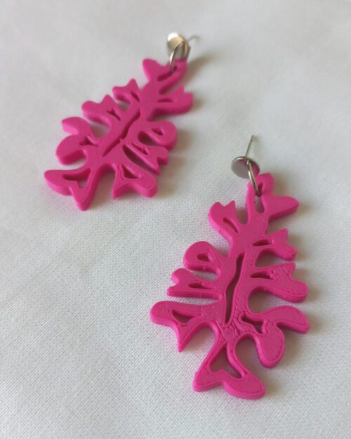 Fucus - Imagen 10