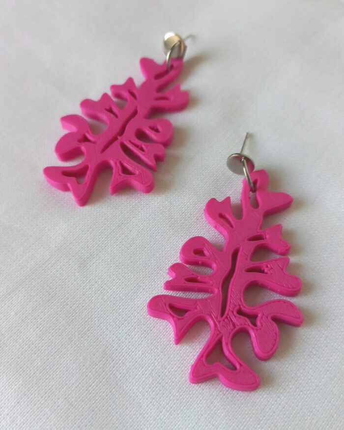 Fucus - Imagen 10