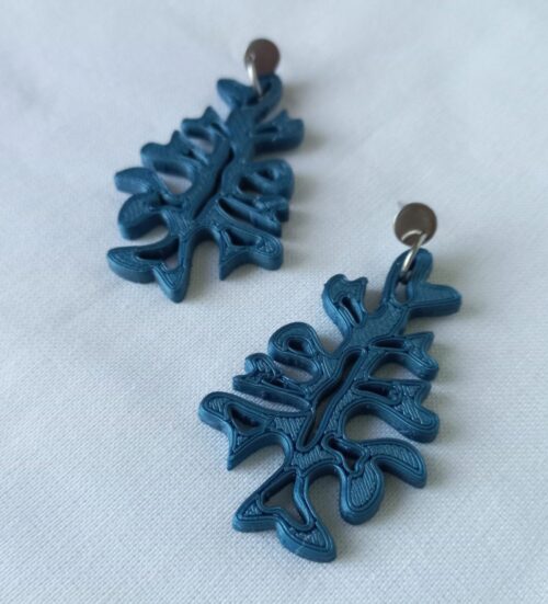 Fucus - Imagen 13