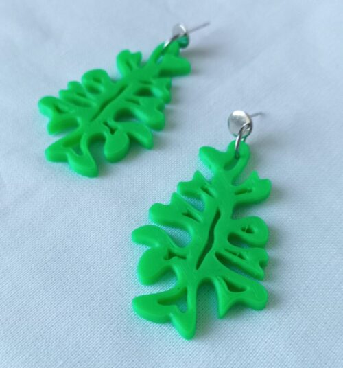 Fucus - Imagen 6