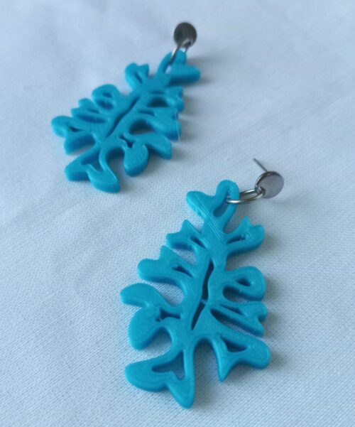 Fucus - Imagen 3