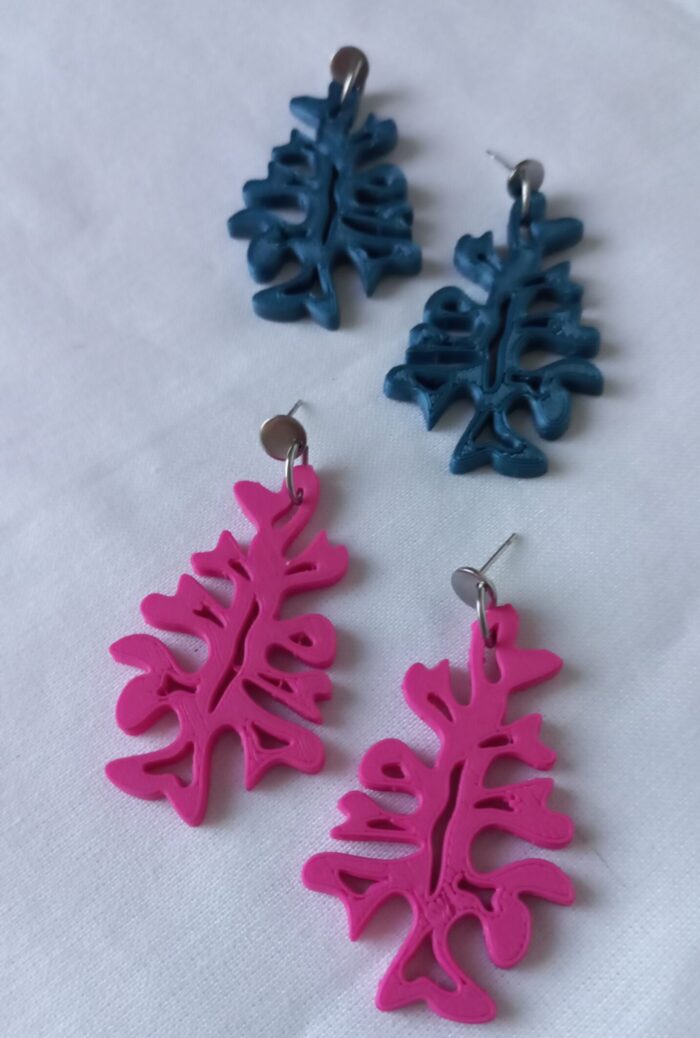 Fucus - Imagen 5